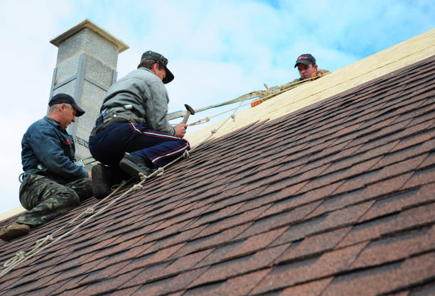 Best Best Roofing Contractors  in Wolfhurst, OH