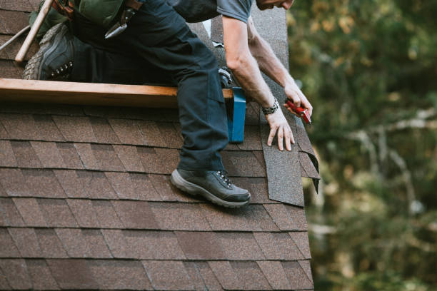 Best Roofing Contractor Near Me  in Wolfhurst, OH