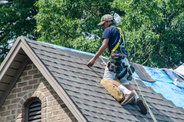 Professional Roofing Contractor in Wolfhurst, OH